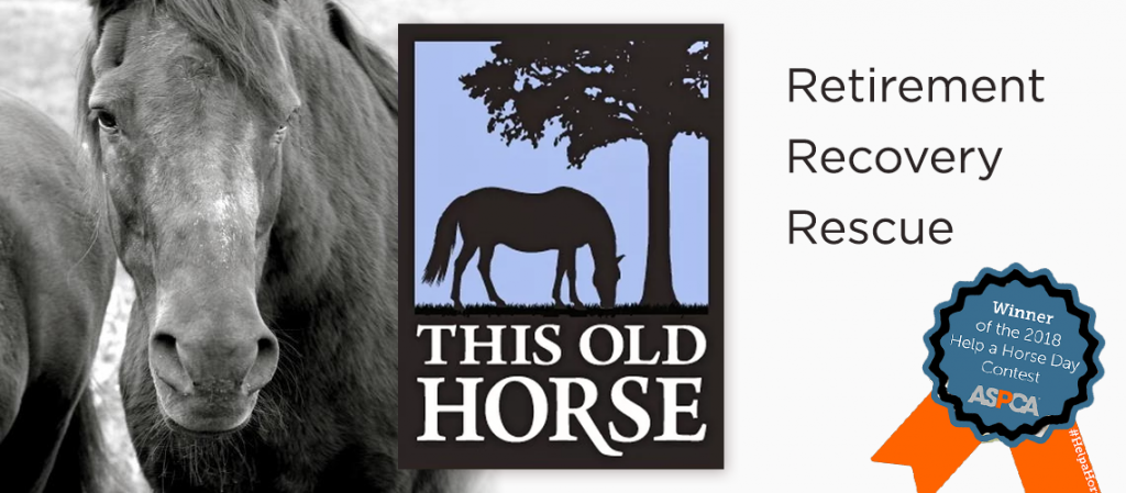 This Old Horse logo and banner